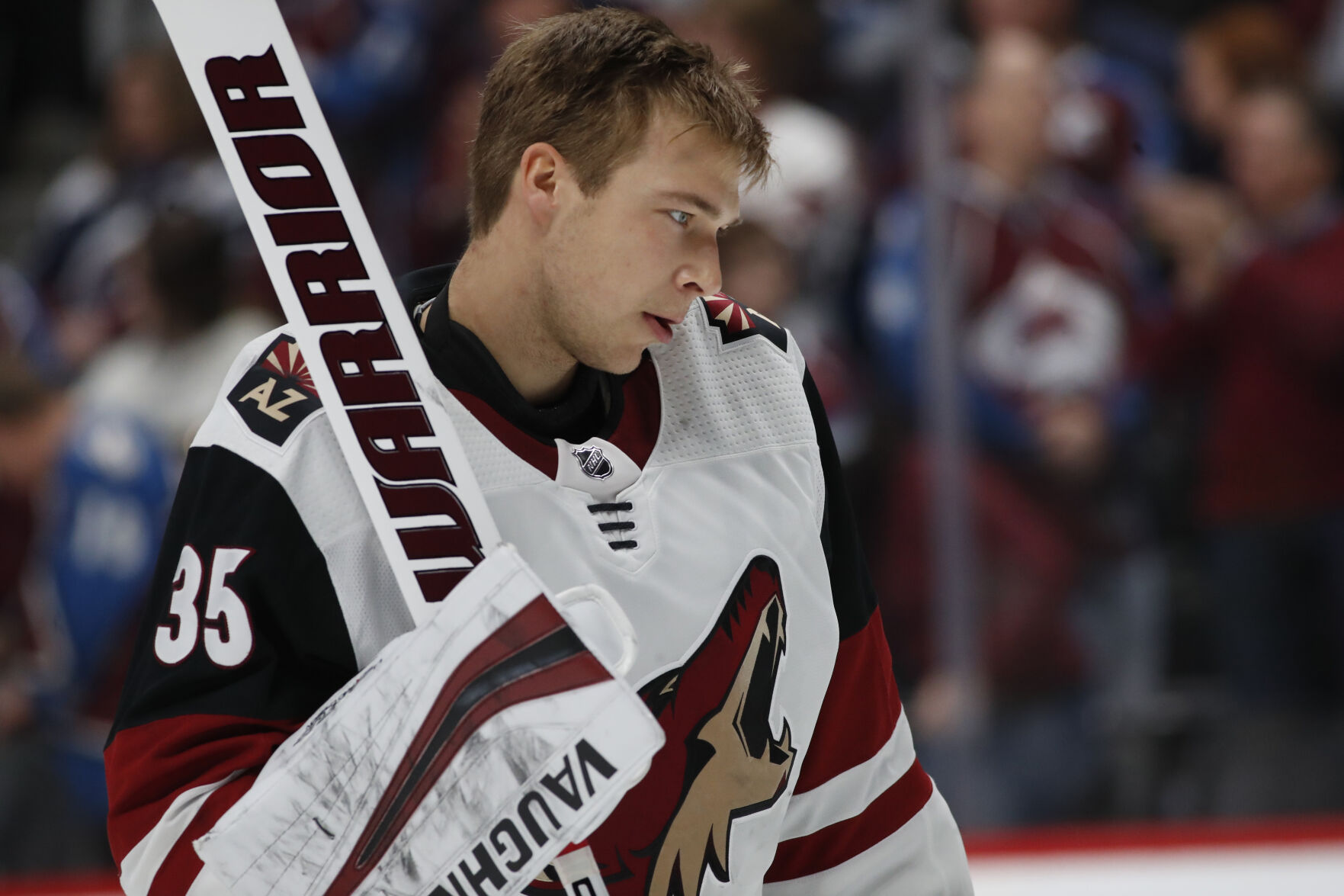 Coyotes Avalanche Hockey